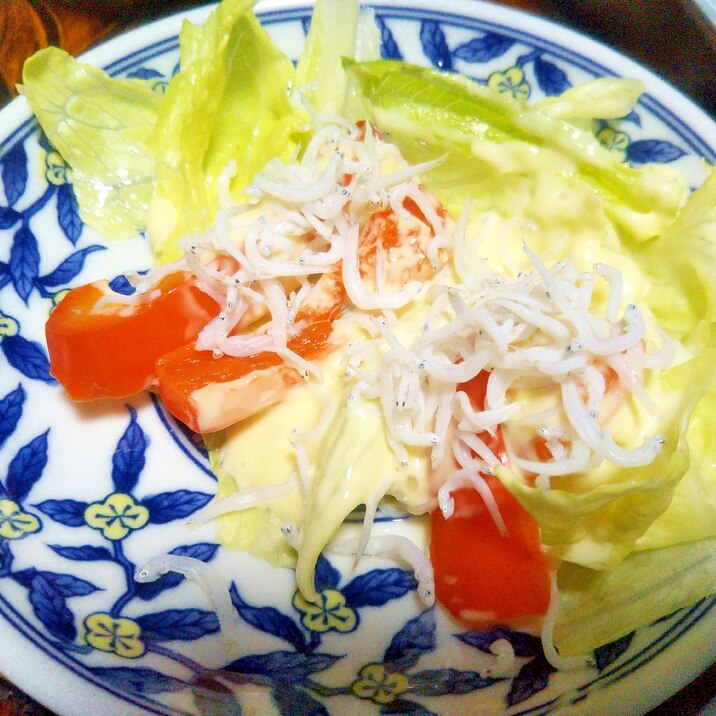 しらすマヨの彩りサラダ